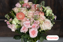 Load image into Gallery viewer, 12 Month Premier Pre-Paid Gift Subscription - FREE Shipping!

