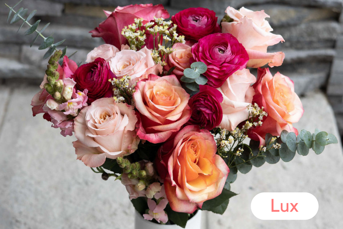4 Month Lux Pre-Paid Gift Subscription - FREE Shipping!