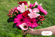 Load image into Gallery viewer, 4 Month Lux Pre-Paid Gift Subscription - FREE Shipping!
