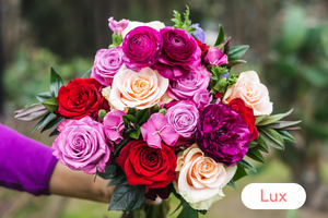 4 Month Lux Pre-Paid Gift Subscription - FREE Shipping!