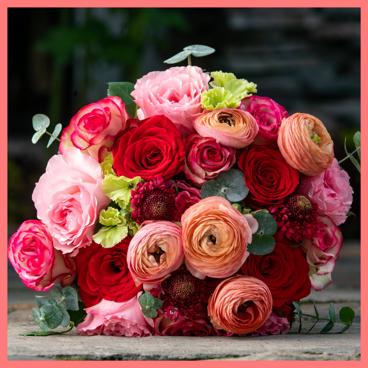 The My Sweet Valentine bouquet includes mixed stems of roses, solomio, ranunculus, scabiosa, and eucalyptus. Please note that as flowers are a live product, colors and varieties may slightly vary from the photos shown to provide you with the freshest and most beautiful bouquet.