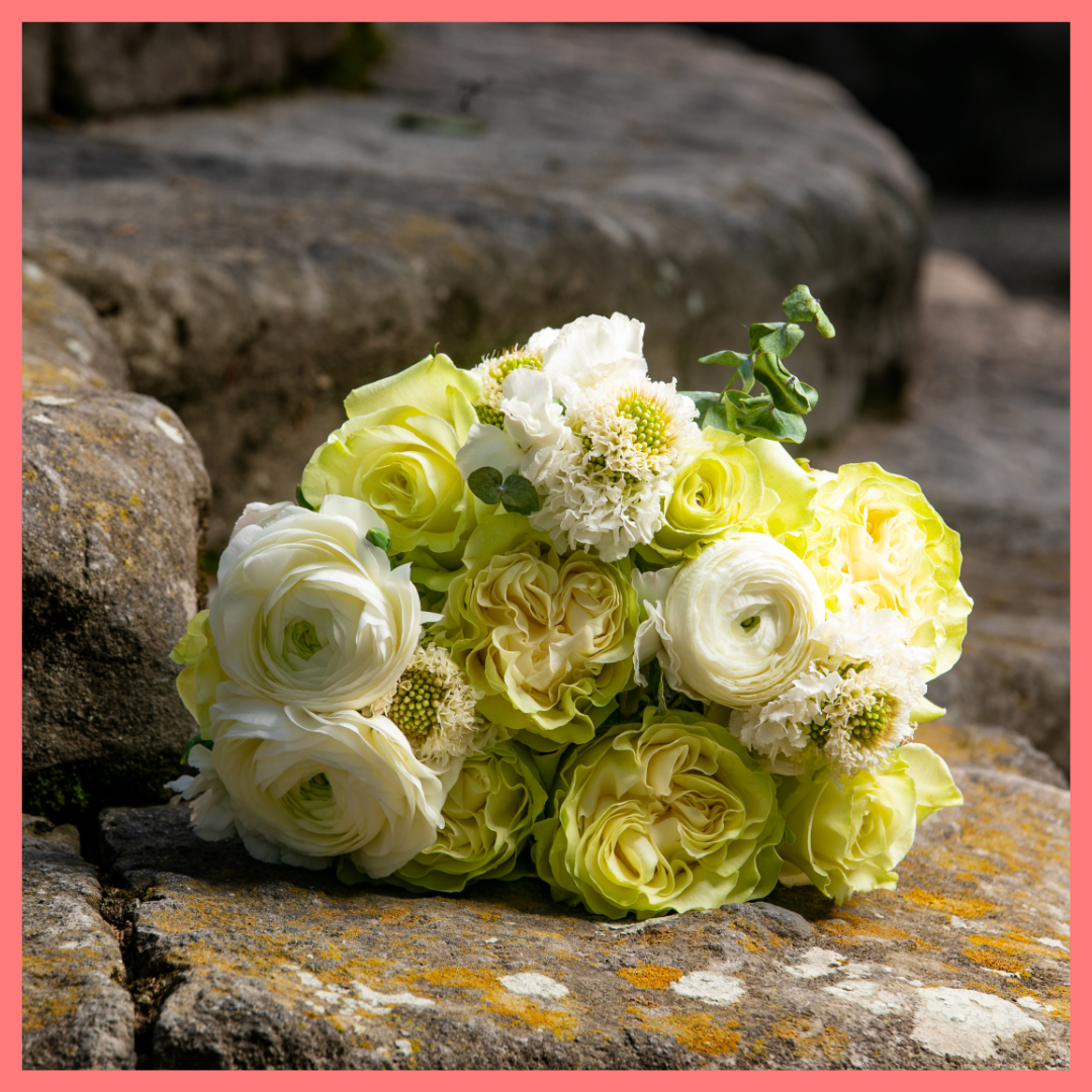 Best Wishes