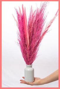 Pamper Me Pink