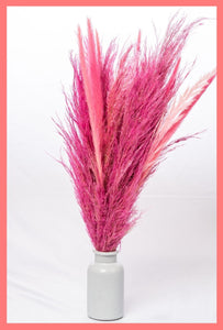 Pamper Me Pink