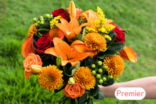 Load image into Gallery viewer, 12 Month Premier Pre-Paid Gift Subscription - FREE Shipping!
