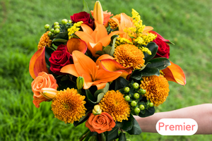 12 Month Premier Pre-Paid Gift Subscription - FREE Shipping!