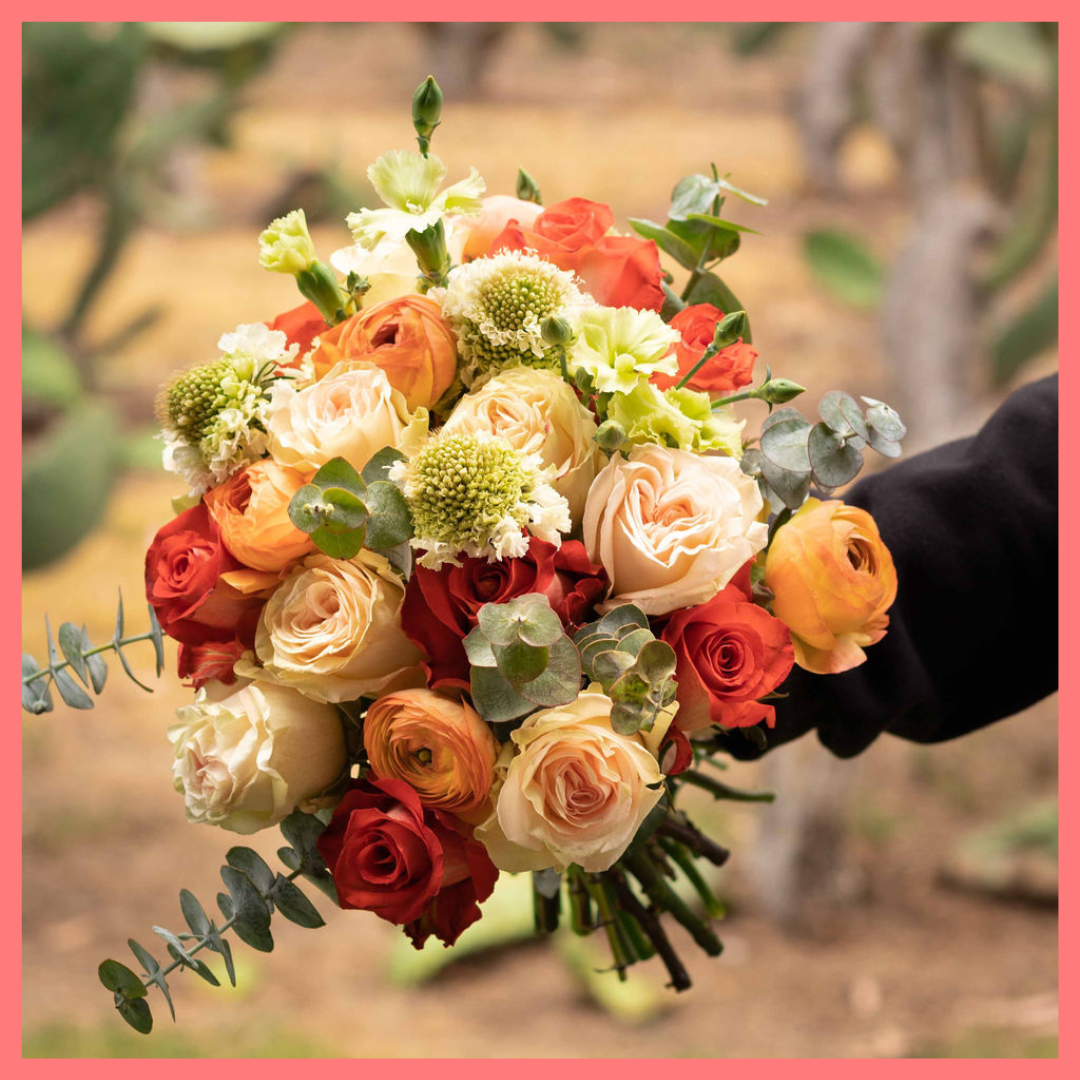 Order the Pretty and Festive flower bouquet! The Pretty and Festive bouquet includes mixed stems of roses, ranunculus, scabiosa, solomio, and eucalyptus. The flowers will be shipped directly from the farm to you!
