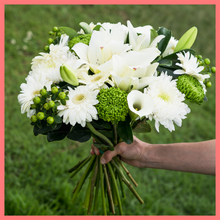 Load image into Gallery viewer, 6 Month Gift Subscription
