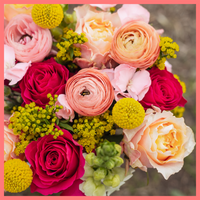 The Birthday Wish bouquet includes mixed stems of ranunculus, roses, solidago, snapdragons, solomio, and craspedia. Please note that as flowers are a live product, colors and varieties may slightly vary from the photos shown to provide you with the freshest and most beautiful bouquet.