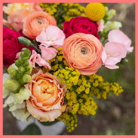 The Birthday Wish bouquet includes mixed stems of ranunculus, roses, solidago, snapdragons, solomio, and craspedia. Please note that as flowers are a live product, colors and varieties may slightly vary from the photos shown to provide you with the freshest and most beautiful bouquet.