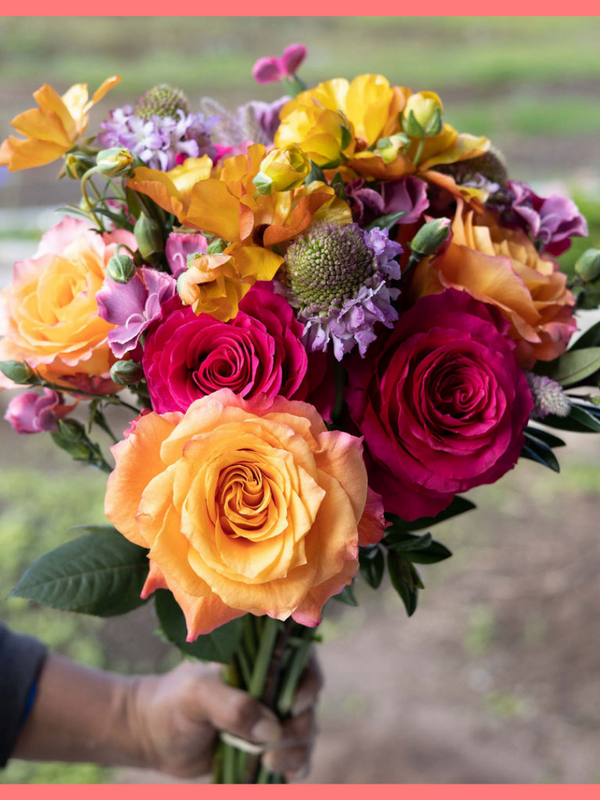 6 Month Gift Subscription