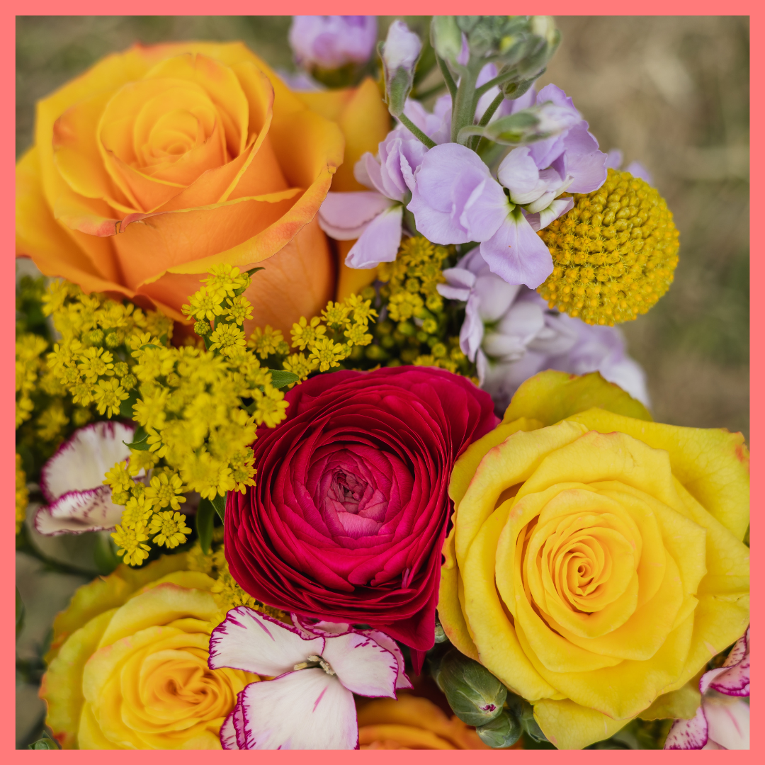Order the Celebrate Good Times flower bouquet! The Celebrate Good Times bouquet includes mixed stems of craspedia, ranunculus, stock, roses, solomio, and solidago. The flowers will be shipped directly from the farm to you!