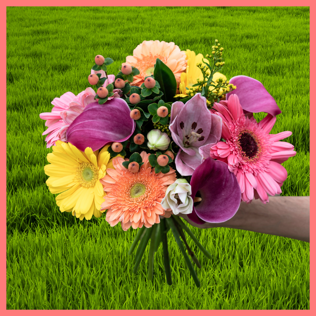 12 Month Gift Subscription