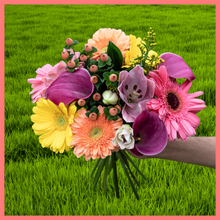 Load image into Gallery viewer, 12 Month Gift Subscription
