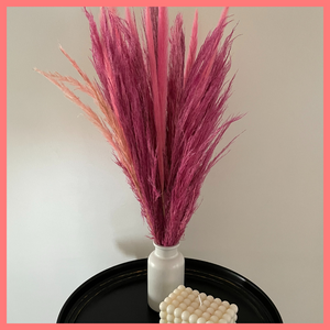 Pamper Me Pink