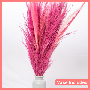 Pamper Me Pink