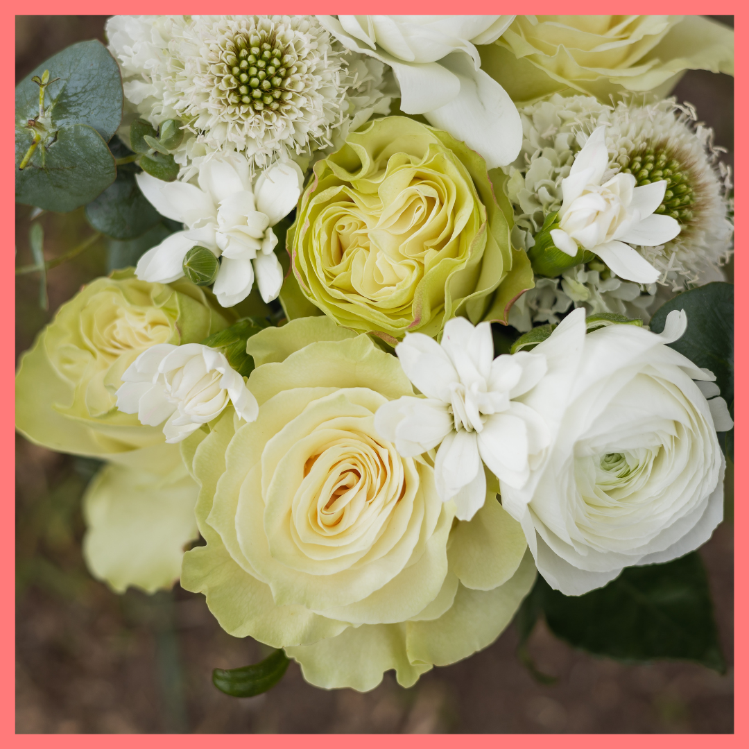 The Sending Love bouquet includes mixed stems of roses, scabiosa, solomios, ranunculus, and eucalyptus. Please note that as flowers are a live product, colors and varieties may slightly vary from the photos shown to provide you with the freshest and most beautiful bouquet.