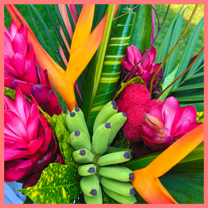 ReVased is the new, convenient way to buy sustainable flowers. By selecting the Tropical Rainforest flower bouquet, you will receive a unique mix of tropical flowers! These gorgeous and unique stems are sourced from a Rainforest Alliance Certified flower farm in Ecuador and are of the highest quality.