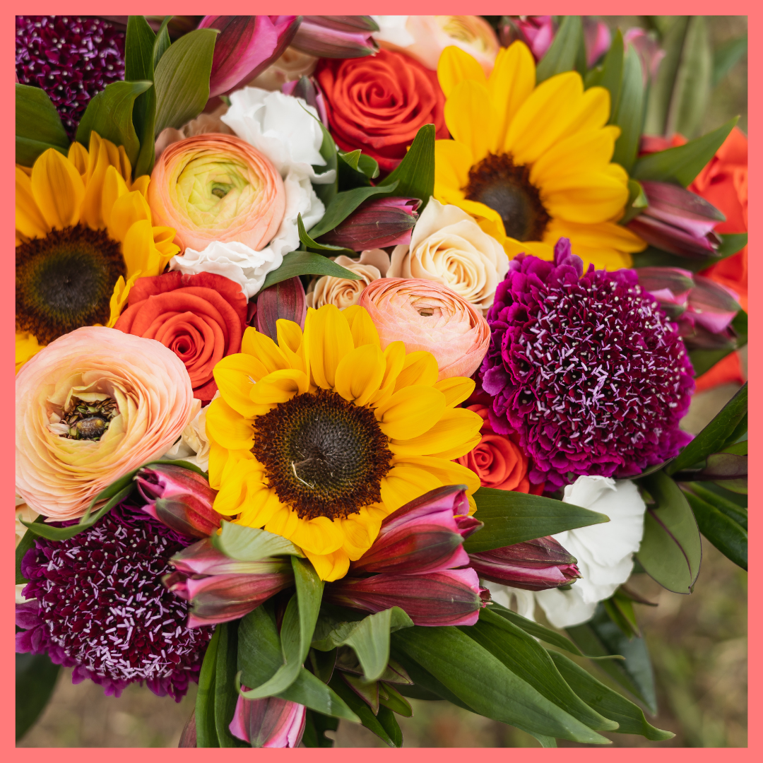 The Sunkissed bouquet includes mixed stems of ranunculus, sunflowers, roses, spray roses, alstroemeria, solomio, scabiosa, and hebes. Scabiosa only included in Lux and Premier sizes. Please note that as flowers are a live product, colors and varieties may slightly vary from the photos shown to provide you with the freshest and most beautiful bouquet.